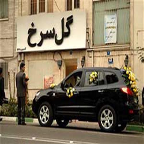 پذیرش عروس گل سرخ